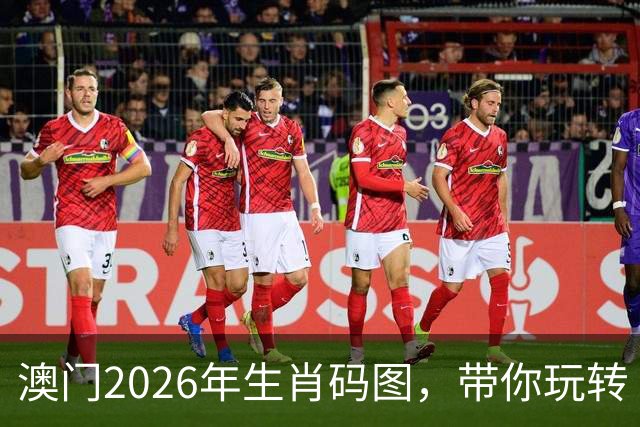 澳门2026年生肖码图，带你玩转“好运”之岛！
