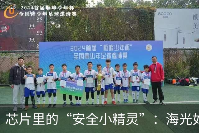 芯片里的“安全小精灵”：海光如何守护我们的数字世界